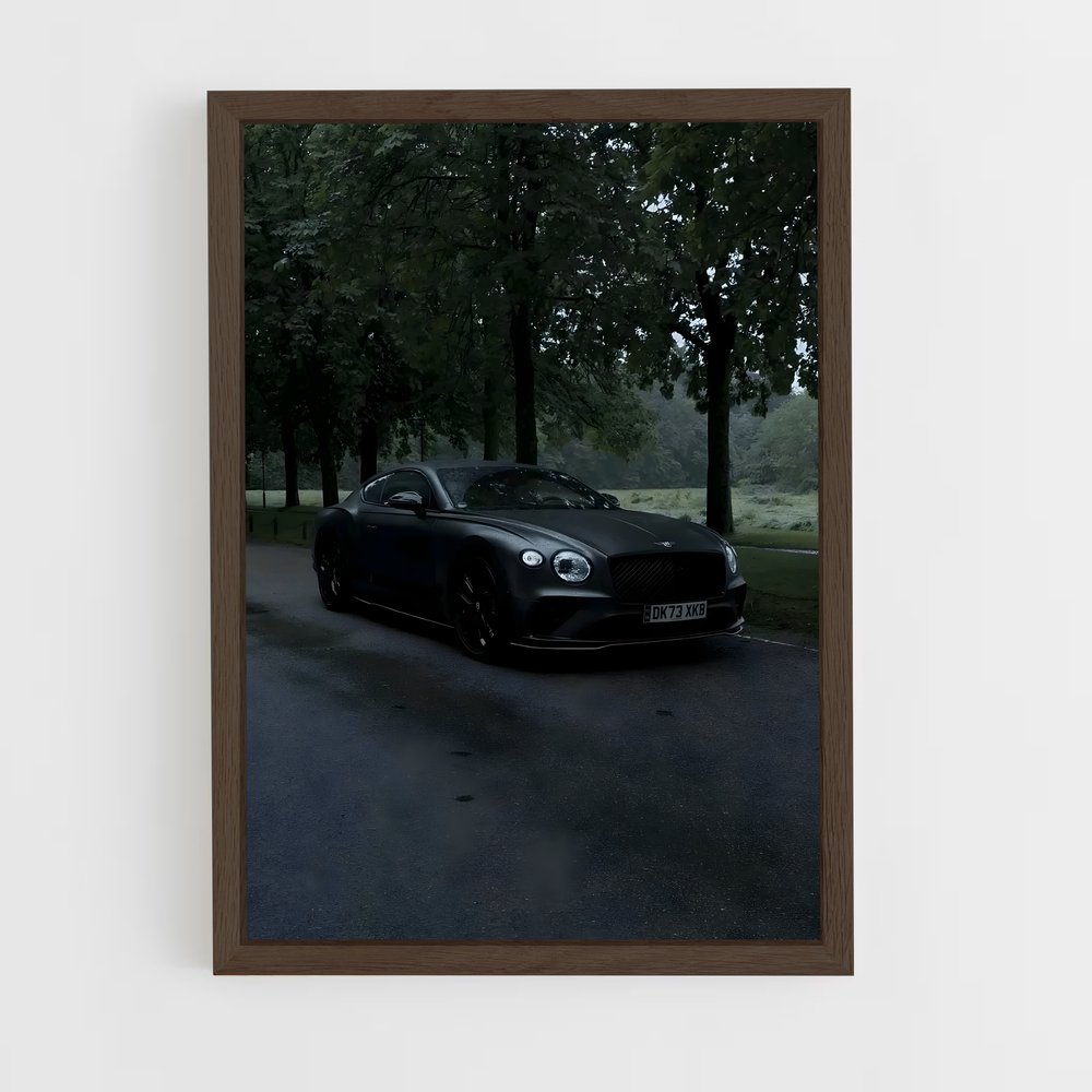 Poster Continental Quatre – affiche Bentley (vue 5)